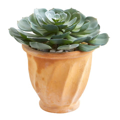 13” Giant Echeveria Succulent Artificial Plant in Terra Cotta Planter - Ornate Home