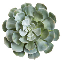 13” Giant Echeveria Succulent Artificial Plant in Terra Cotta Planter - Ornate Home