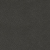 Perarrygin Carbon 2-Piece Reclining Sectional