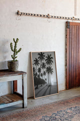 Palm Shadows at Sunrise