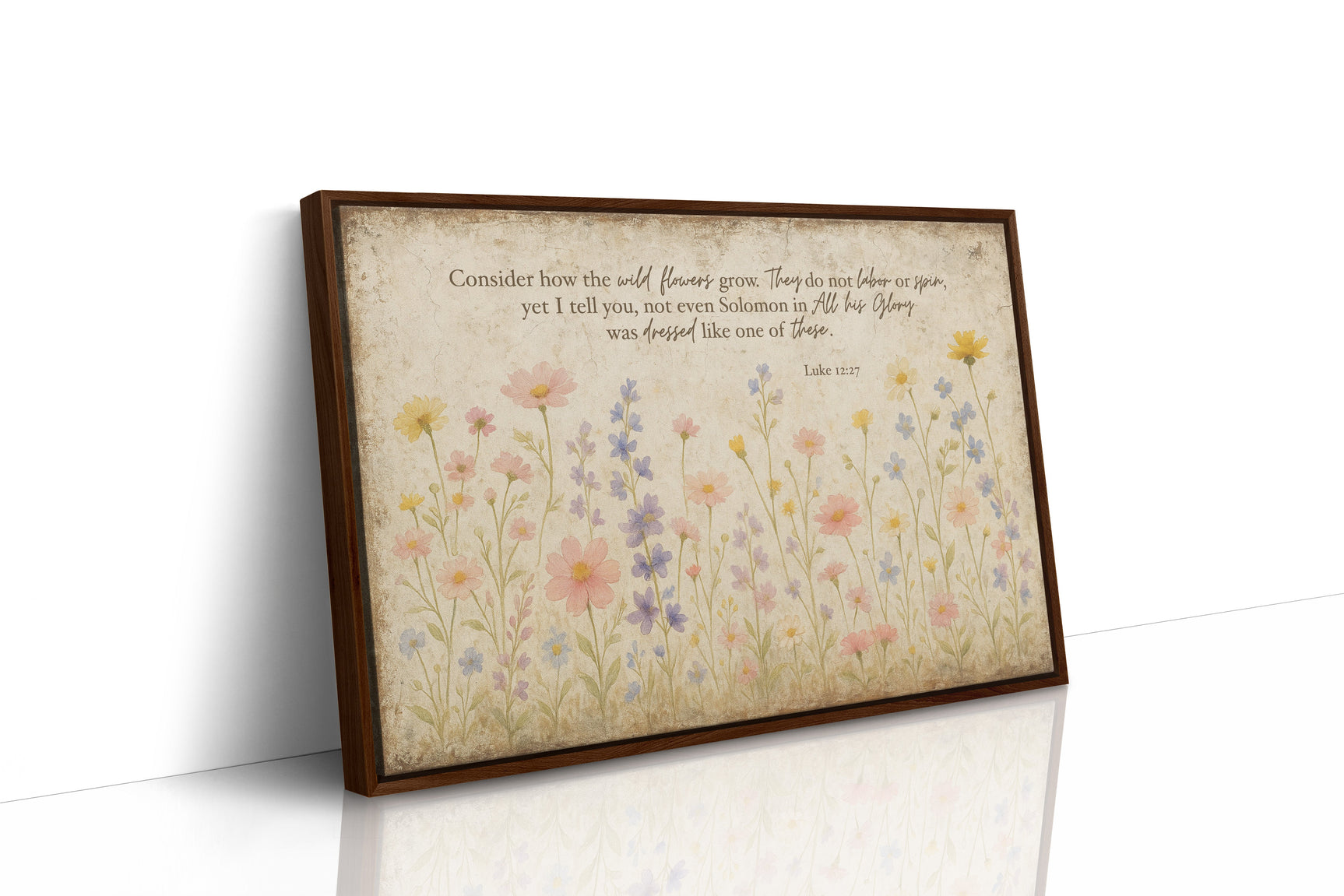 Consider the Wildflowers Luke 12:27