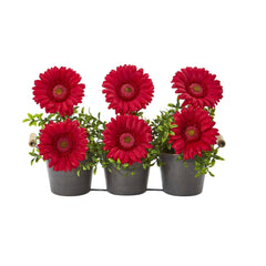 14” Gerber Daisy Artificial Arrangement in Trio Metal Vase - Ornate Home