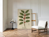 The Holly Botanical Art Print
