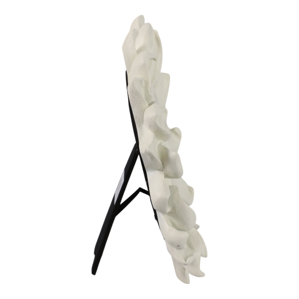 Tarabeach Ivory Frame