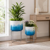 Nicoleham Blue/White/Black Planters (Set of 2)