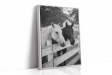 Pasture Gate Conversations