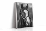 Gentle Spirit