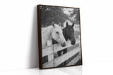 Pasture Gate Conversations