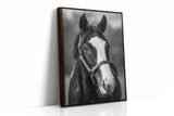 Gentle Spirit