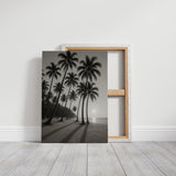 Palm Shadows at Sunrise