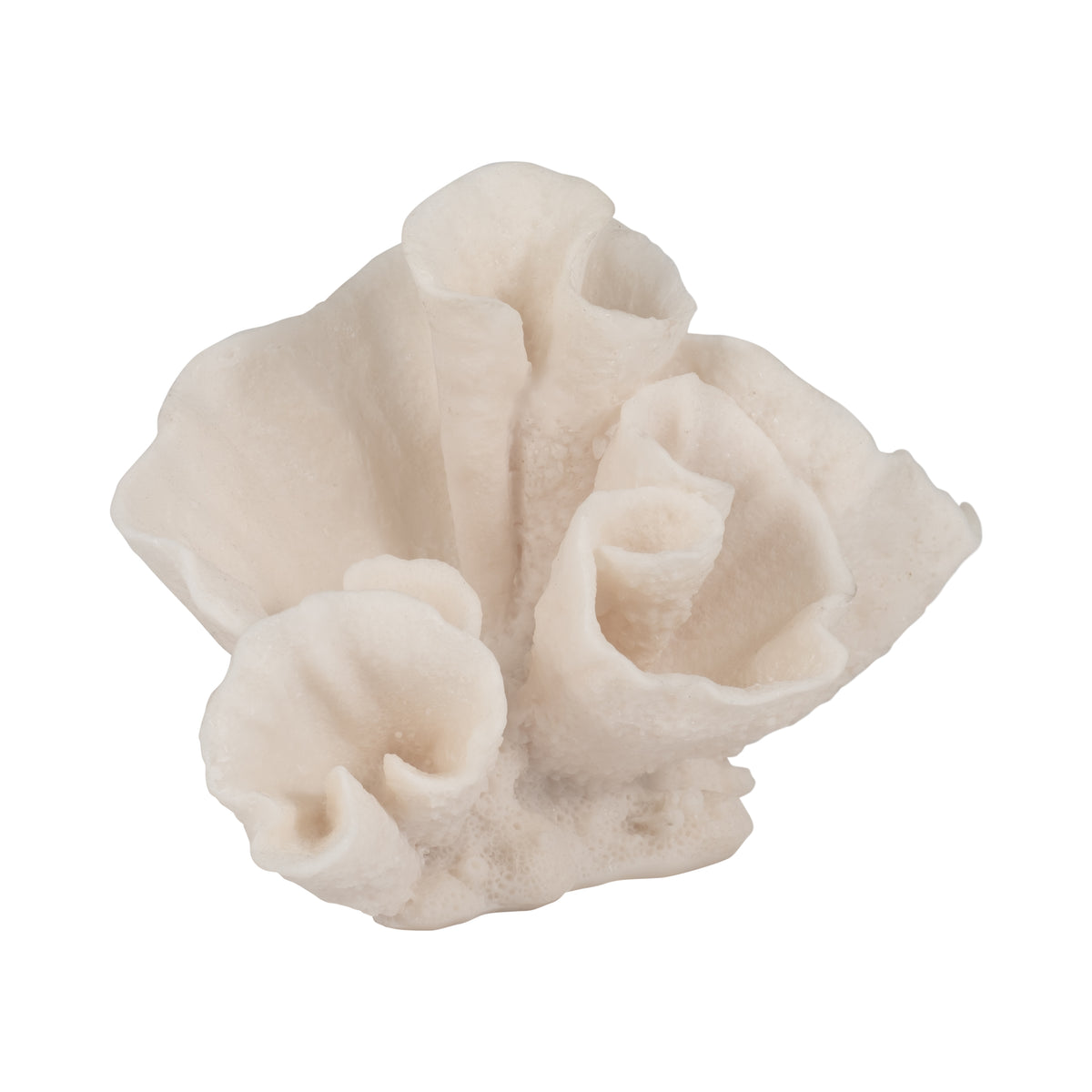 Brainard Ivory Coral Object