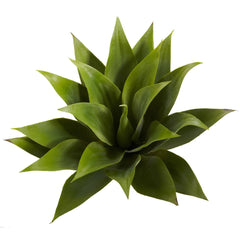 17” Agave Succulent Plant (Set of 2) - Ornate Home