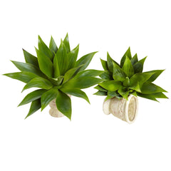 17” Agave Succulent Plant (Set of 2) - Ornate Home