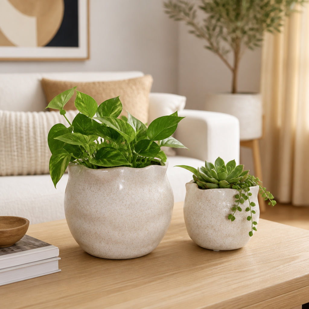 Draperstone Ivory Planters (Set of 2)