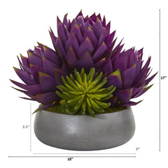18” Musella and Succulent Arrangement in Gray Garden Vase - Ornate Home