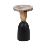 Hotlum Multicolor Petrified Wood Accent Table