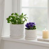 Bowenhaven White Planters (Set of 2)