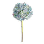 Light Blue Green