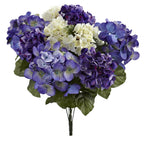 Blue Purple