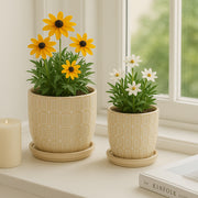 Leonaham Ivory Planters (Set of 2)
