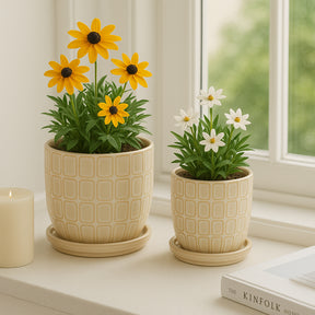 Leonaham Ivory Planters (Set of 2)