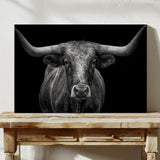 The Monarch of Texas