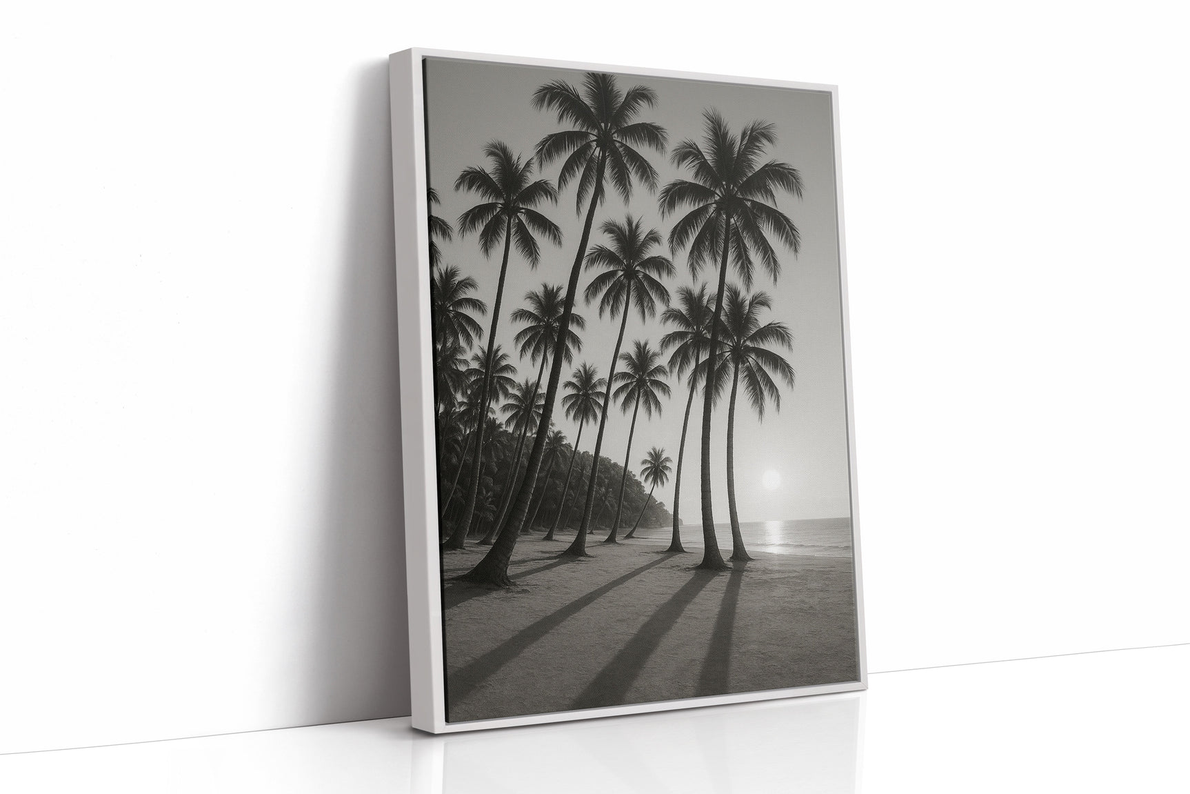 Palm Shadows at Sunrise