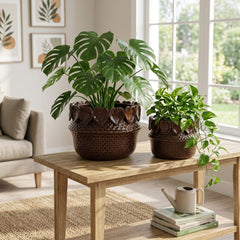 Fallonrun Brown Planters (Set of 2)