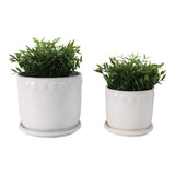 Lintonmore White Planters (Set of 2)
