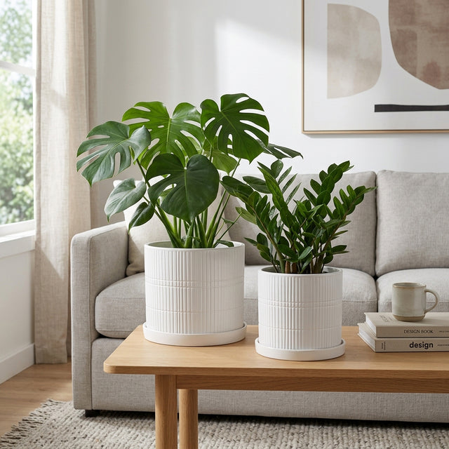 Grahammill White Planters (Set of 2)