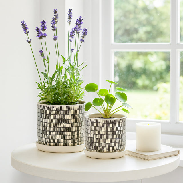 Gridley Beige Ceramic Planters with Saucer (Set of 2) - 14807-03
