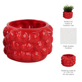 Calwind Red Small Strawberries Flower Pot