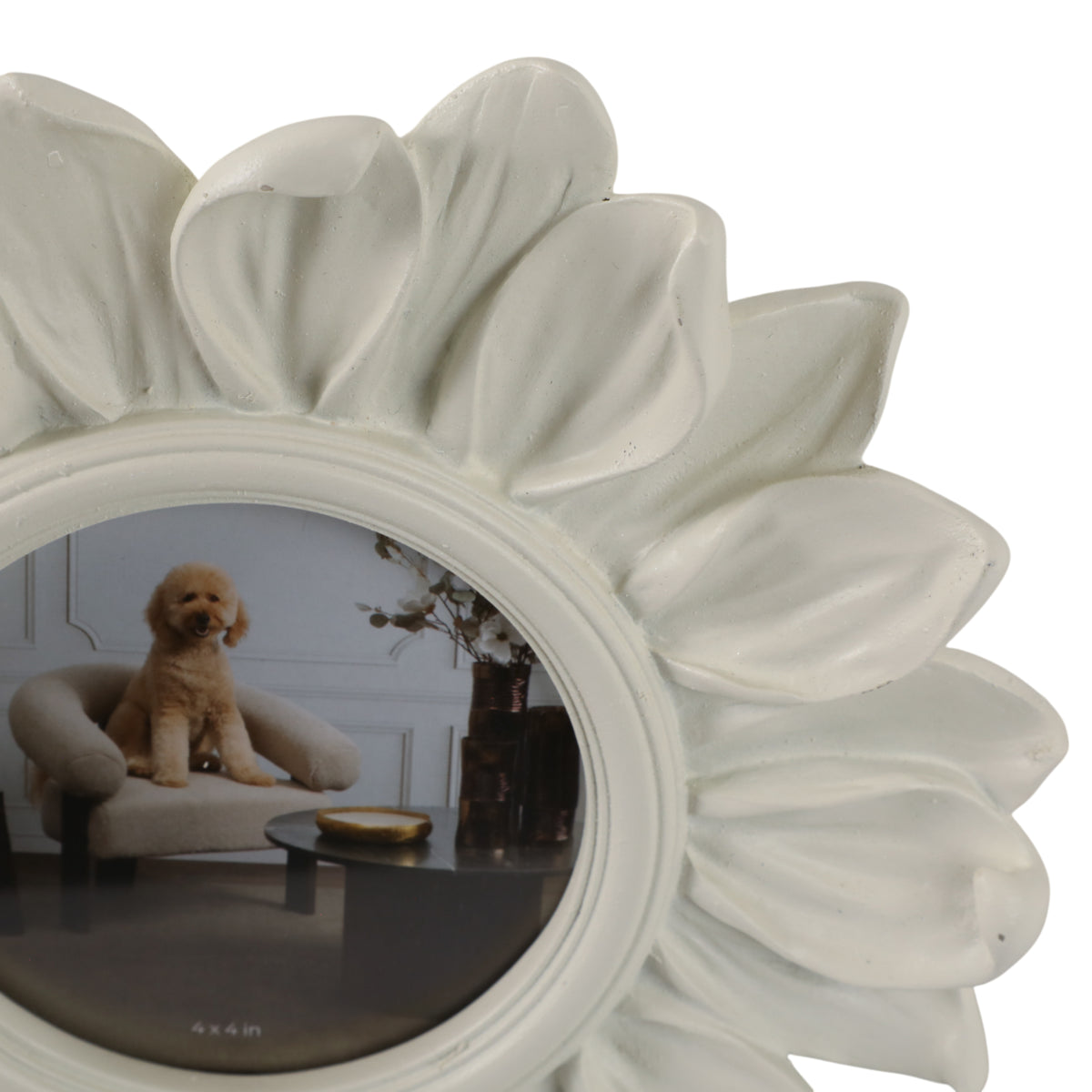 Tarabeach Ivory Frame
