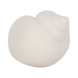 Cleoside White Bonnet Seashell Decor