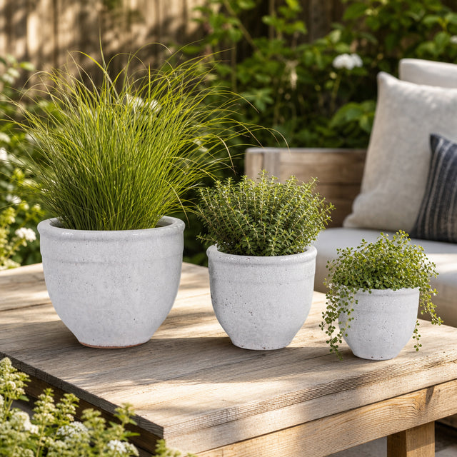 Hayfordway White Terracotta Planter Pots (Set of 3)