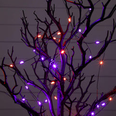 2' Pre-Lit Artificial Halloween Black Spooky Twig Tree with 60 Orange & Purple Copper Wire String LED Lights - Ornate Home