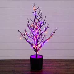2' Pre-Lit Artificial Halloween Black Spooky Twig Tree with 60 Orange & Purple Copper Wire String LED Lights - Ornate Home