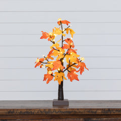 2' Pre-Lit Autumn Maple Artificial Fall Tree with 24 Warm White LED & Pumpkin Shaped Lights with Detachable Base - Ornate Home