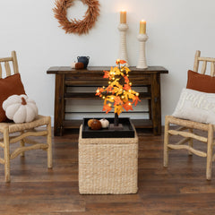 2' Pre-Lit Autumn Maple Artificial Fall Tree with 24 Warm White LED & Pumpkin Shaped Lights with Detachable Base - Ornate Home