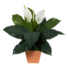 2’ Spathiphyllum Artificial Plant in Terra-Cotta Planter - Ornate Home