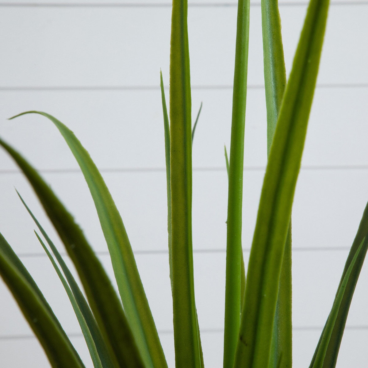 2'  UV Resistant Artificial Grass Plant (Indoor/Outdoor)
