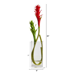 20” Mini Star Bromeliad Artificial Arrangement in Glass Vase - Ornate Home