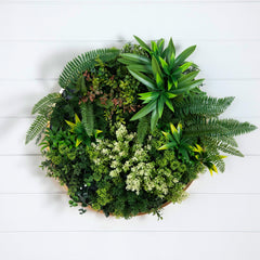 20” UV Resistant Artificial Queensland Rainforest Living Wall Art Panel in Gold Aluminum Frame - Ornate Home