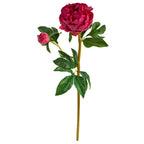 Fucshia