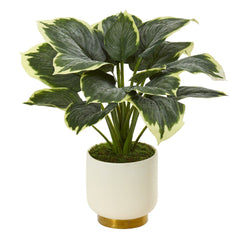 22” Variegated Hosta Artificial Plant in Cream Planter with Gold Base - Ornate Home