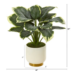 22” Variegated Hosta Artificial Plant in Cream Planter with Gold Base - Ornate Home