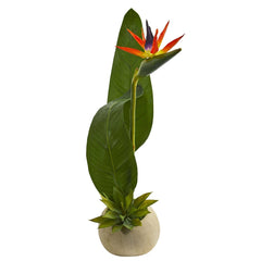 23” Bird of Paradise and Succulent Artificial Arrangement - Ornate Home
