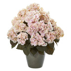 Cream Pink