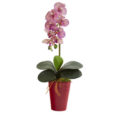23” Phalaenopsis Orchid Artificial Arrangement in Vase - Ornate Home