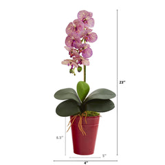 23” Phalaenopsis Orchid Artificial Arrangement in Vase - Ornate Home